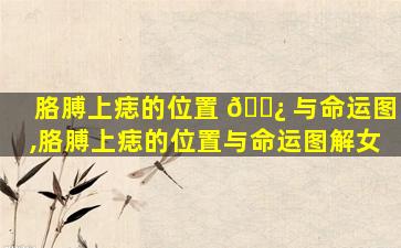 胳膊上痣的位置 🌿 与命运图,胳膊上痣的位置与命运图解女